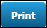 Print button